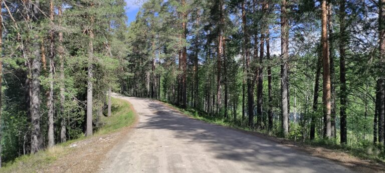 Vornan maisematien harjua