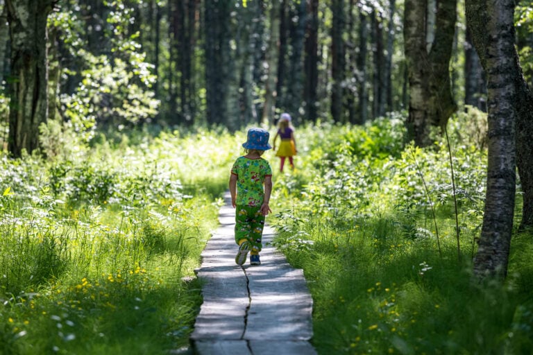 pappilahluhta lieksa retkeilyreitti lähireitti