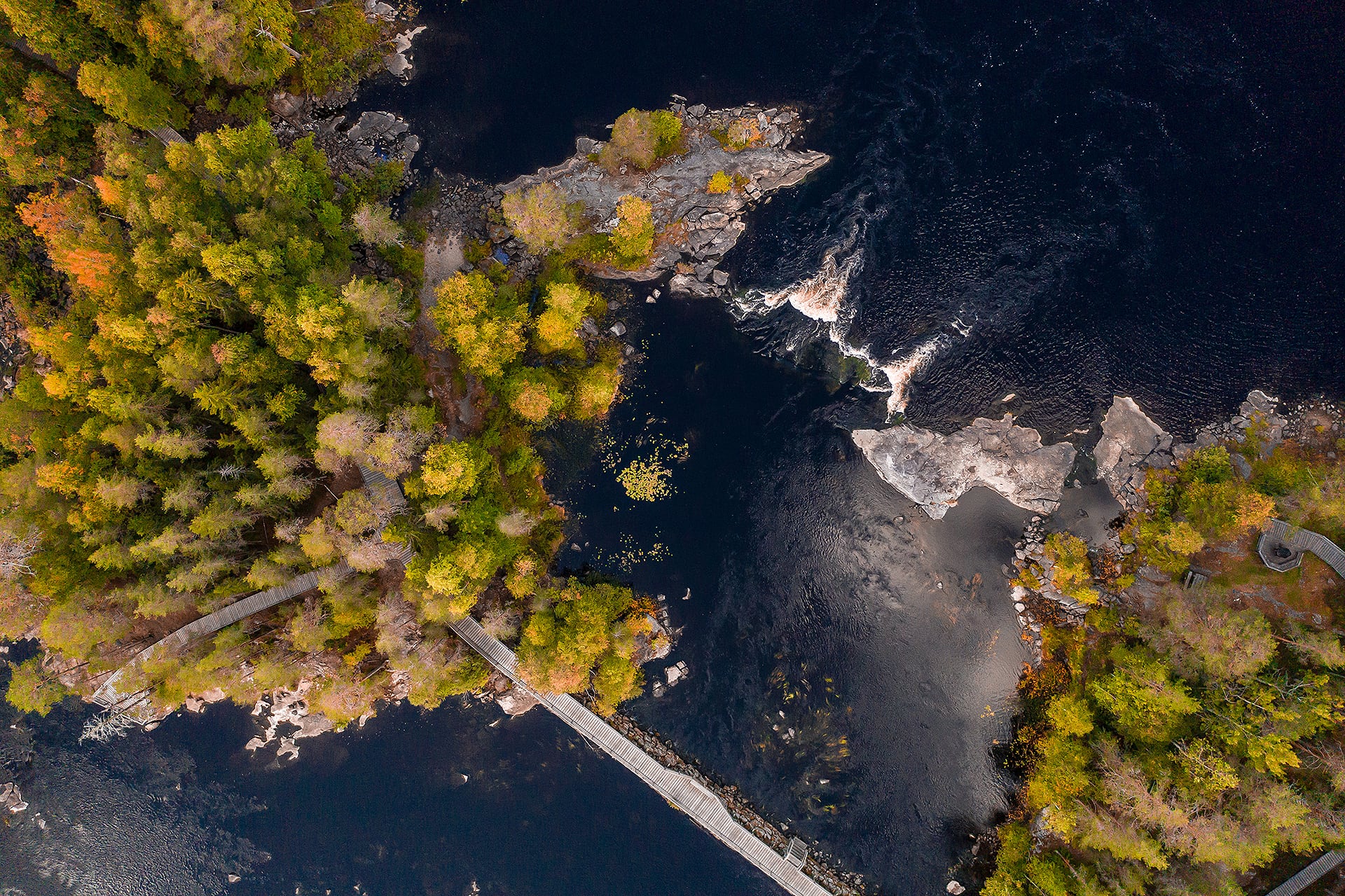 Ilmakuva Lieksanjoen koskimaisemasta syksyllä.