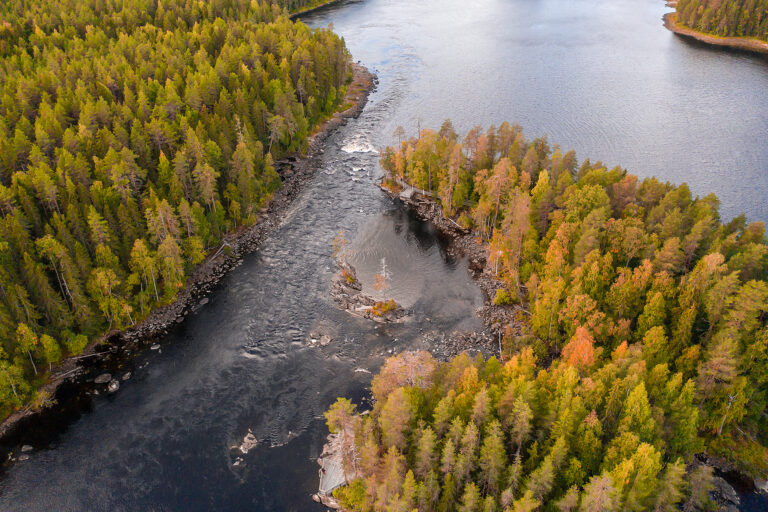 Ilmakuva Lieksanjoesta syksyllä.