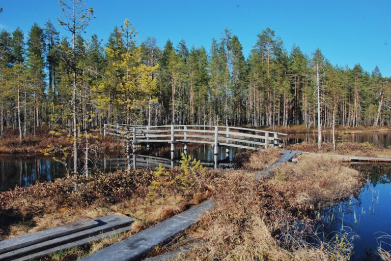 Pitkospuita ja silta suolammen yli