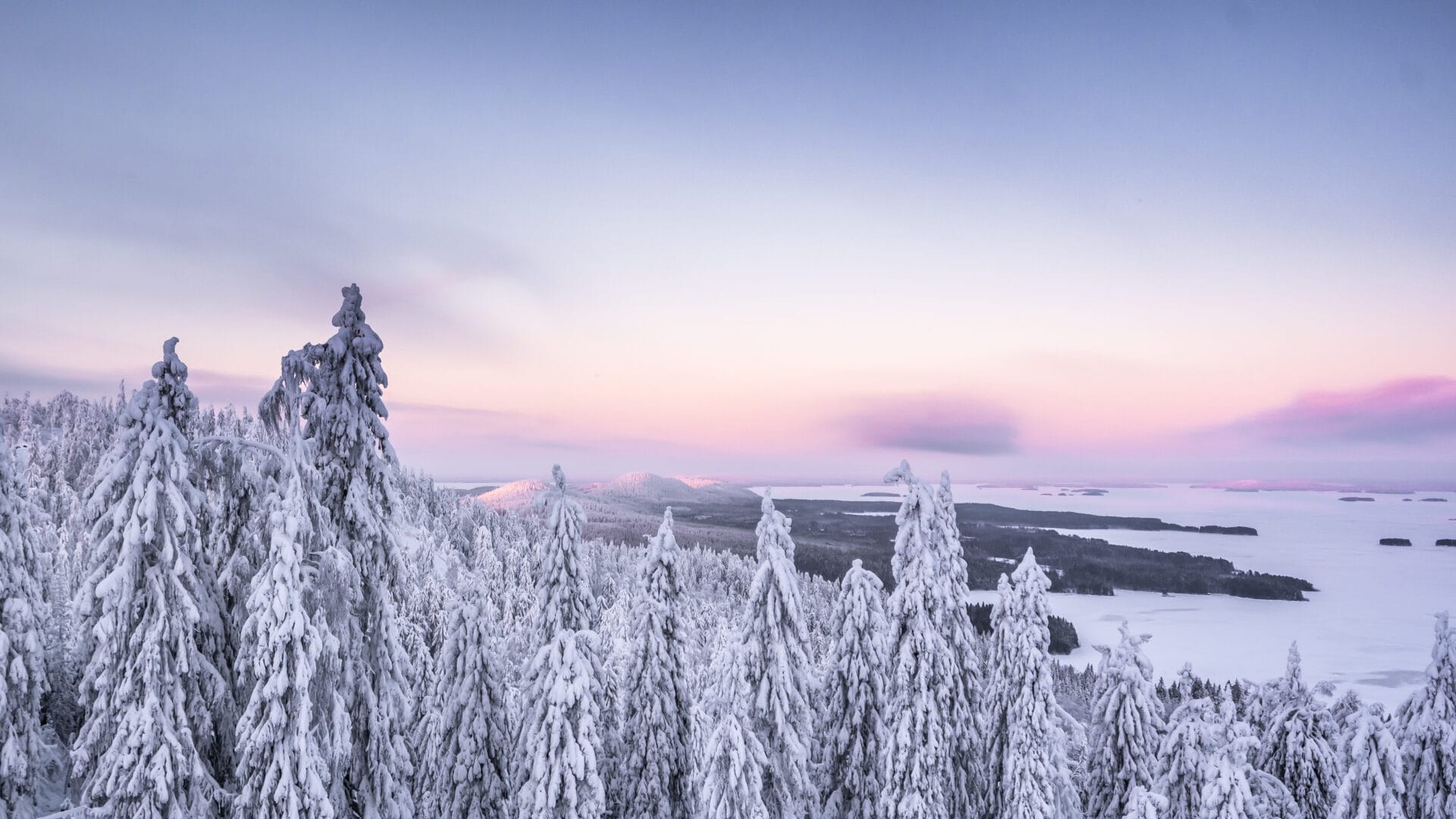 There is only one Koli | Koli